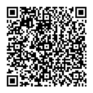 同时也是天外楼未来几十年依旧可以称尊武林的希望所在……同时也是狂帝楚狂人最看重的弟子二维码生成