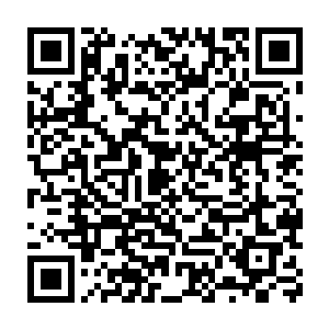 同时也有给予海伦的……海伦此前在瑞德制药的身份也是相当尴尬的二维码生成