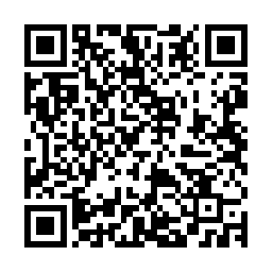 同时也留下大量的四阶魔核和一些五阶魔核供应众人的修炼所用二维码生成