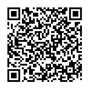 同时他们也能够清楚的感受到自己身上的血气竟然也开始疯狂的流逝起来二维码生成