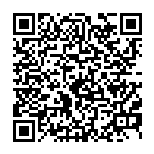 同时几个人的面前也是出现了无数道恐怖的罡风朝着防护罩上面涌过来二维码生成