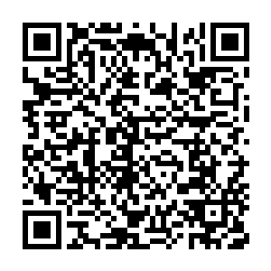 同时心里对于雷林已经满是感激了――她单纯地认为雷林培育小树二维码生成