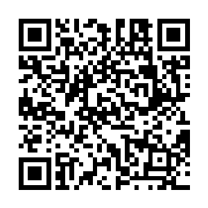 同时我们也顺势清理了疆域内那些不够忠心的代理城主二维码生成