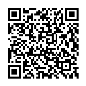 同时手中的绝世巨刀依旧速度不减地劈向了仙主二维码生成