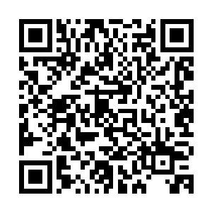 同时更具备了无比可怕的杀伤力……即便是这些僵尸残留的不多二维码生成