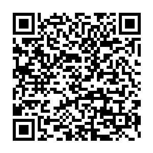 同时更多的五行虫也顺着这更加巨大的创口钻进了冰霜巨人的体内二维码生成