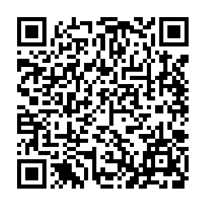 同时有几股驳杂的能量波动传来…还有指引罗盘上的信号也在一闪一闪的二维码生成