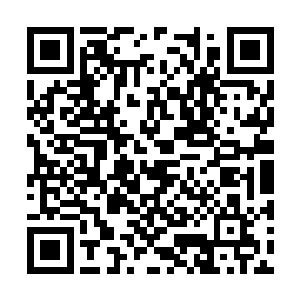 同时没有在你们面前主动检验证明自己的人族血脉二维码生成