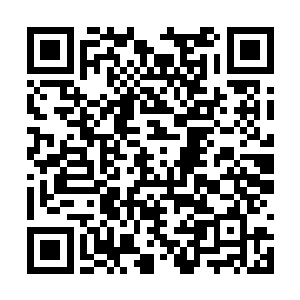 同时百分之百的确定秦林并没有和帝师首辅闹翻了二维码生成