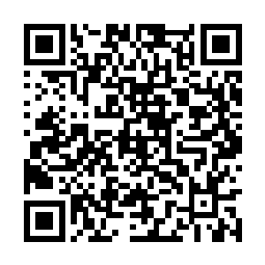 同时还因为荣耀至死如今的声势着实是太过强大了二维码生成