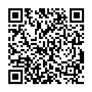 同时还能让它未来可走的路更加的宽敞……为了这样的一幕二维码生成