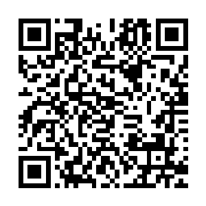 同时送去的还有一封签署有府令大人和统领大人名字的保举信二维码生成