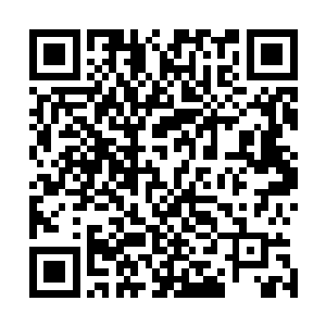 同时银翼卫队里面的一名副队长的人选可以由你们的人担任二维码生成