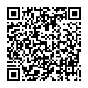 同时顶端还有一个如同水晶一般能量发生装置的重型晶核炮也终于充能完毕二维码生成