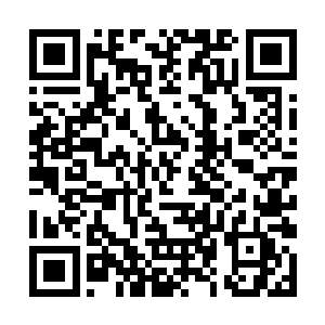 同样也害怕听到一些将自己推到与剑尘对立面的言论二维码生成