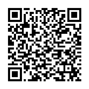 同样横向比较一下离子通道实验室完成的项目的水平二维码生成