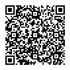 同样的四个高达万米的通体布满了蓝色鳞片的巨人手中也不断的发出一道道恐怖的攻击二维码生成