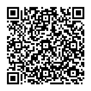 名头看起来那是响当当的不过大多数人都看到了他风光的一面并没有看到他残酷一面二维码生成