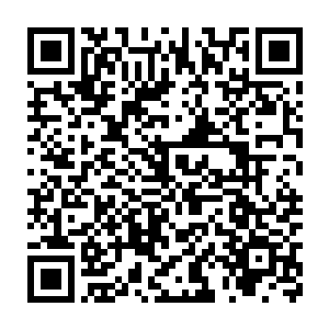 名门名下的几大企业正在对着红莲的公司进行着大规模的围堵堵截二维码生成