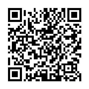 后一想到杨锋心腹手下和那些城堡管事家中的丰富的财产二维码生成