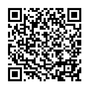 后來更是强势取缔那些沒有办学资格的武馆武校二维码生成