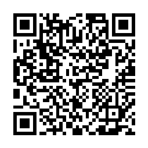 后宫里做主的正是太后……前几天你妹妹还被人推下了水呢二维码生成