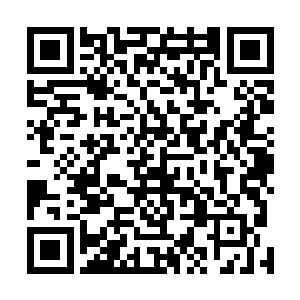 后悔跟眼前这个曾经在他眼里只是蝼蚁的举霞修士起冲突二维码生成