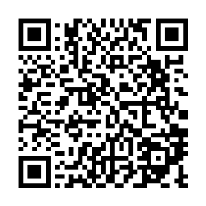 后来他的几个儿女突然发现家中多了一个一模一样爹的时候二维码生成