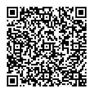 后来我姐姐的老师风间晴明大师便使用当时安倍晴明的封印之法将她再次封印在离这里不远的百焚谷之内二维码生成