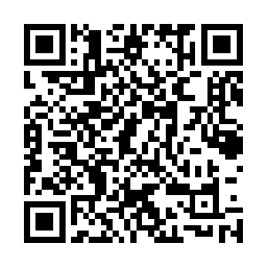 后续每个月都要投入数百贡献点的聚灵石维持法阵有效运行二维码生成