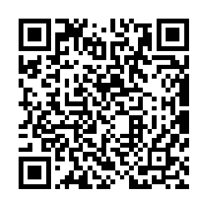 后者也不可能一看到他们就确认斜月至尊域四大宗门的身份二维码生成