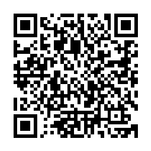 后者已经从虚空海螺中再度取出两把备用的白板弯刀杀上来了二维码生成