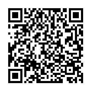 后脚张潇晗在凌霄城拍卖厅赌石赌到极品仙石的事情就被提起来二维码生成