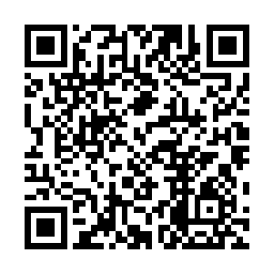 后面跟的一个大卡车和一辆面包车此时不得不减缓了速度二维码生成