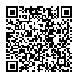 向婉会不会觉得你把能为国家做贡献的精力全都耗费在对付丈母娘上了二维码生成