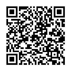 向来只有祖域中最强大的几个宗门才有几样这样的秘宝二维码生成