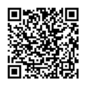 向来雷厉风行的师娘大人揪起敢怒不敢言的师父耳朵二维码生成