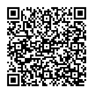 吕凡他们也都明白梦露露和这群刚出现的光头男人他们一群社会混子都是我找来的二维码生成