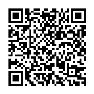吕文秀是田卫东在淮山工作是掘出来并推荐给6为民担任秘书的二维码生成