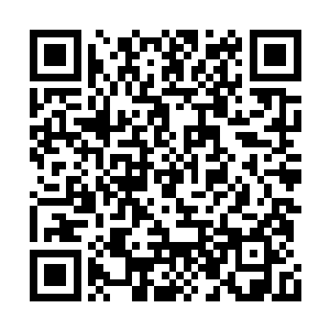 君北月一直忍在冷冽之下的愤怒统统爆发了出来二维码生成