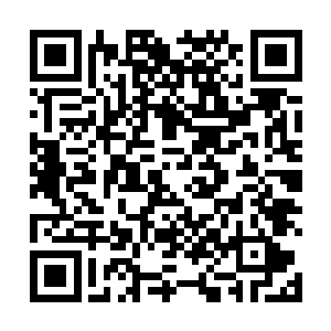 君墨皇和夜染两人坐在房梁上看着底下一群人鼓鼓捣捣二维码生成