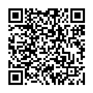 君墨皇淡淡的扫了一眼通过第一轮测试的三百多人二维码生成