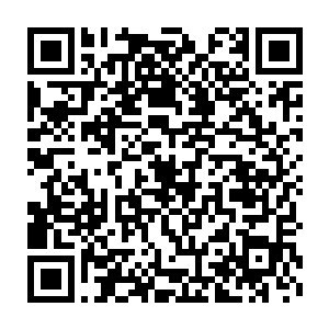 君小公子的确是现场唯一一个从理论上不受到化功软筋散影响的人二维码生成