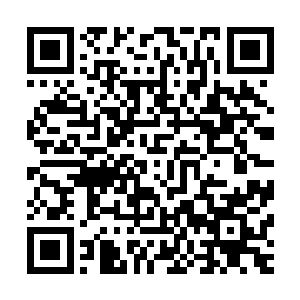 君无极和季疏云那边已经开始怀疑您就是和季疏云下毒的人了二维码生成