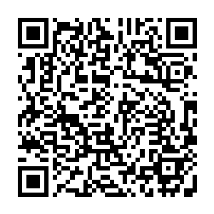 吞吃它们的血肉它们将我们撕咬至死还啃噬我们的尸体我们化成鬼魂了也要反噬二维码生成