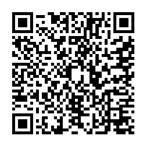 否则今天等待你的就是蕾妮和凯瑟琳的努力混合物――绿色史莱姆料理二维码生成