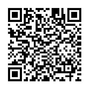 否则他们四个主宰也不会这几个纪元的时间也诞生不了九阶主宰二维码生成