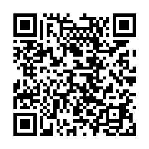 否则以他如今的身份和实力倒是没必要这般宽慰他二维码生成