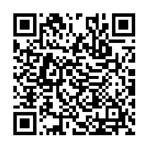 否则你以为你杀了一个宗教裁判所的所长会没事儿二维码生成