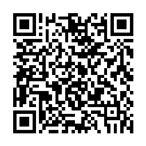 否则我们第五家族还是严格执行每家一届的轮值传统二维码生成